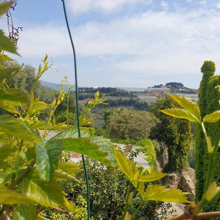 Casa Di Ingrida Bussana Vecchia Villa Сан Ремо Екстериор снимка