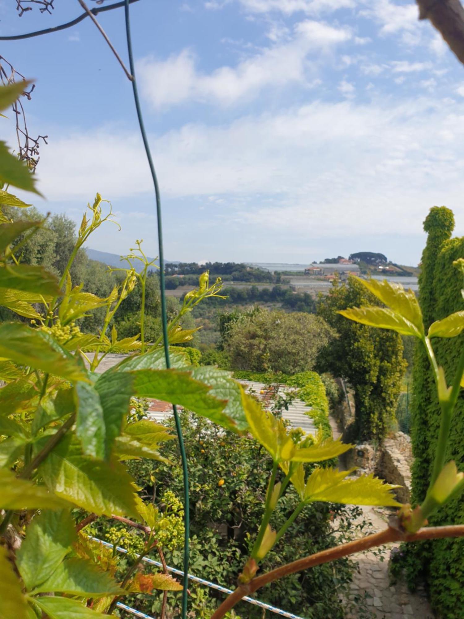 Casa Di Ingrida Bussana Vecchia Villa Сан Ремо Екстериор снимка